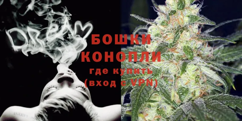 Конопля Bruce Banner  Курлово 